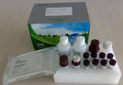 小鼠凝血酶抗凝血酶復(fù)合物(TAT)ELISA Kit 價(jià)格、廠(chǎng)家與產(chǎn)品圖片詳解