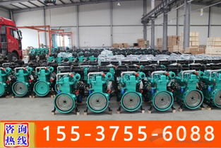 雅安市柴油發(fā)電機(jī)組 一站式生產(chǎn)組裝與配件銷售維修服務(wù)