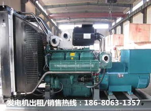 景德鎮(zhèn)發(fā)電機(jī)服務(wù)全解 從出租到生產(chǎn)組裝，再到配件銷售與維修